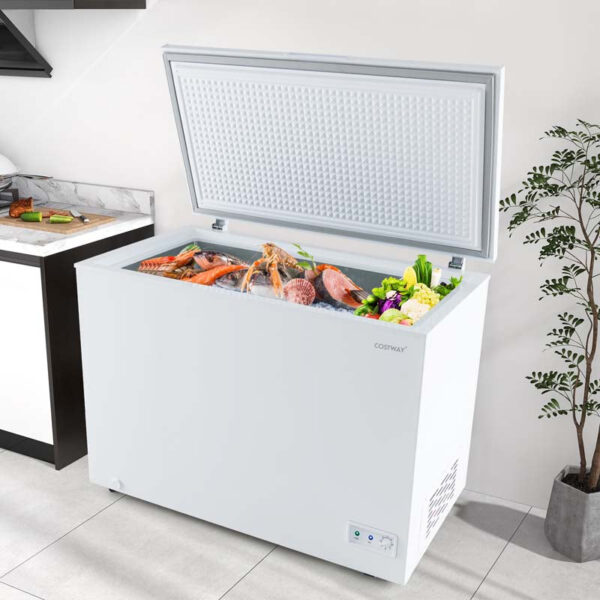 10 Cu.Ft. Chest Freezer Compact Deep Freezer with 7-Level Adjustable Temperature, Removable Basket - Image 2