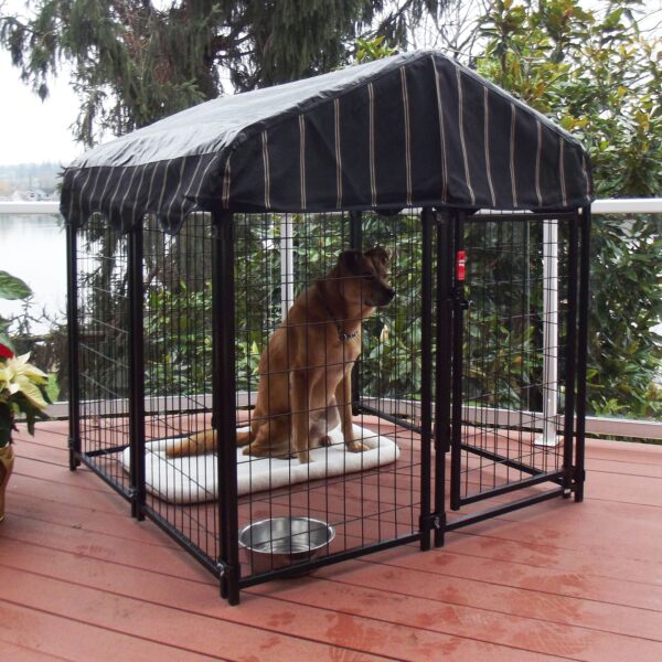 Lucky Dog 4' x 4' x 4.3' Uptown Welded Wire Dog Kennel w/ Waterproof Cover - Image 30